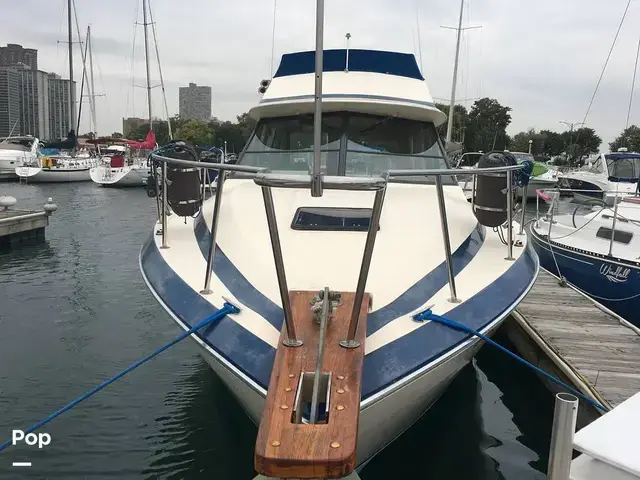 Chris Craft 333 Commander