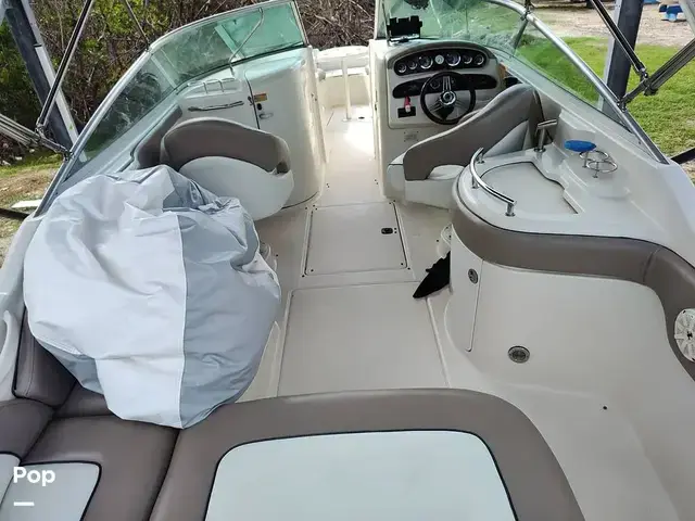 Sea Ray 270 Sundeck