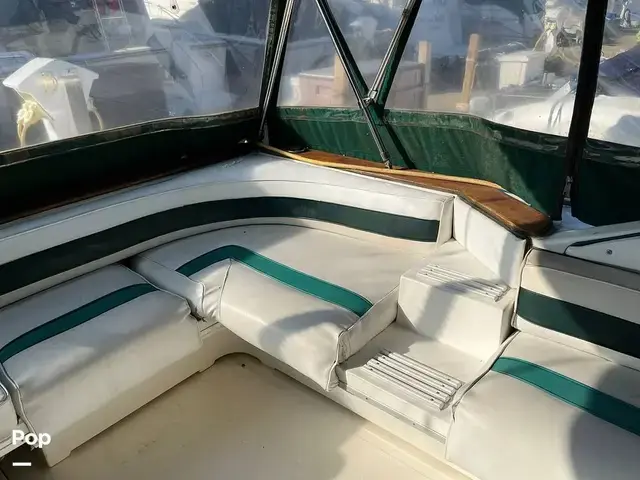 Sea Ray 390 Express Cruiser