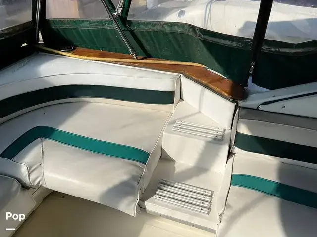 Sea Ray 390 Express Cruiser