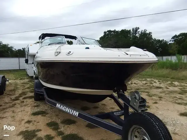 Sea Ray 240 Sundeck