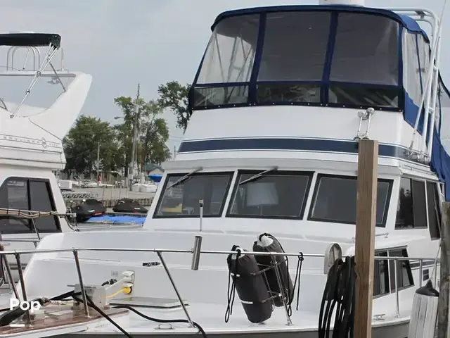 Marinette 39 Double Cabin Flybridge