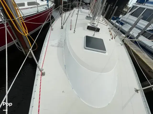 Pearson 36