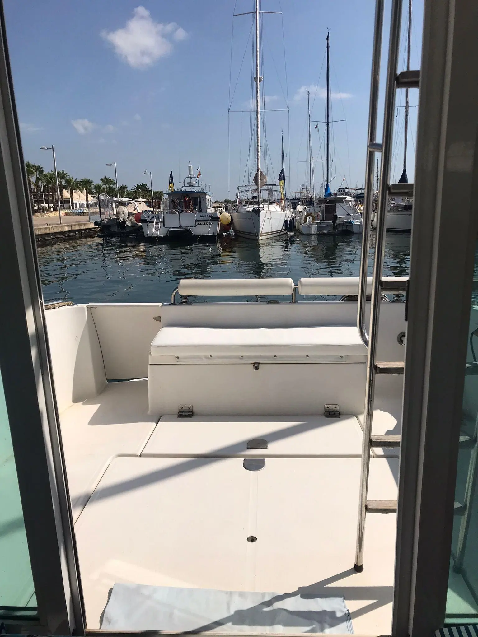 1998 Bimini goymar 800fly