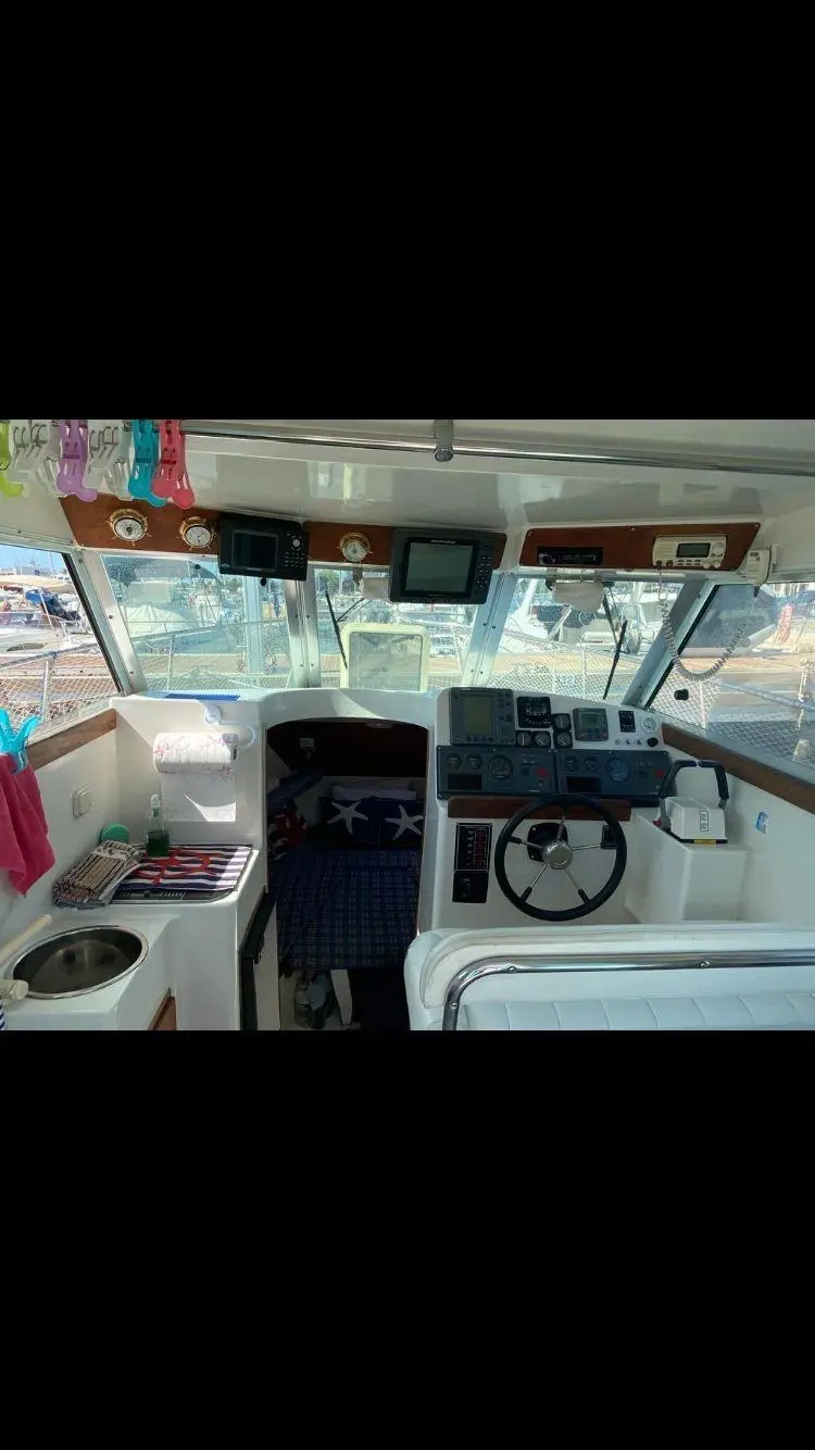 1998 Bimini goymar 800fly