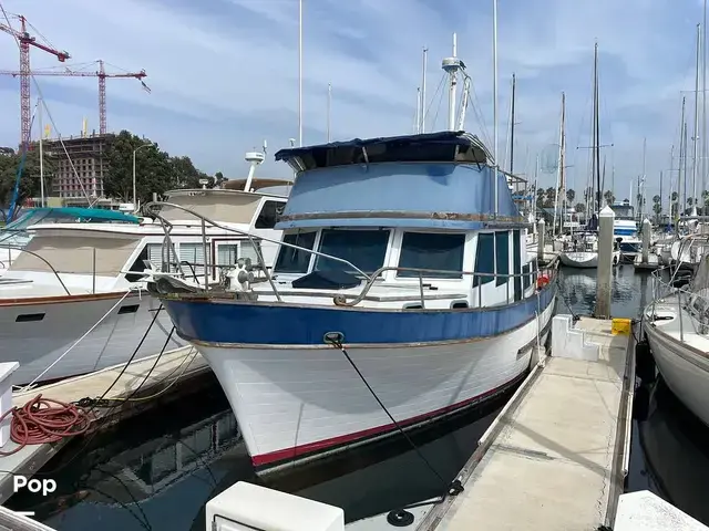 Trader 40 Double Cabin