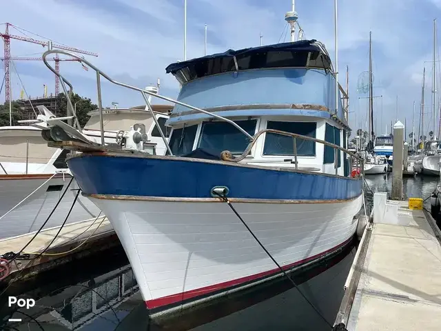 Trader 40 Double Cabin