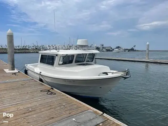 Sea Sport 2200 Sportsman