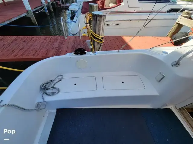 Mainship 31 Sedan Bridge