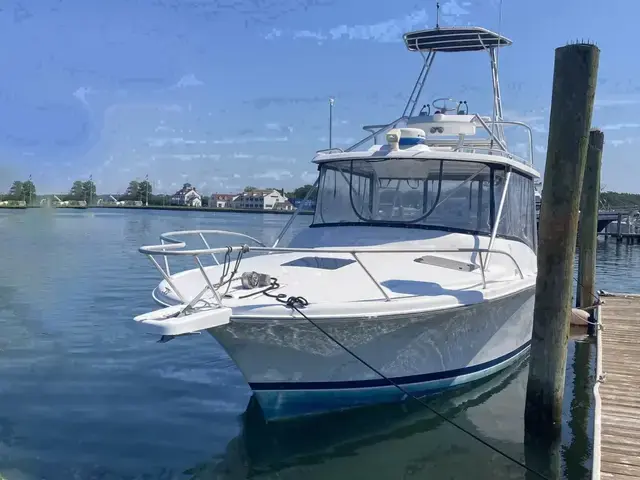 Luhrs 29 Open