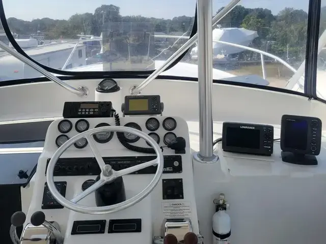 Luhrs 29 Open