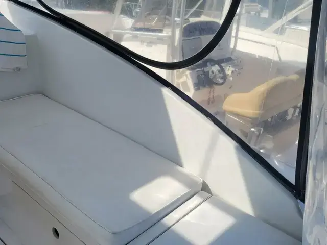 Luhrs 29 Open