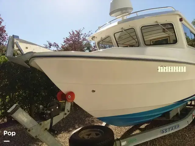 Sea Sport 2200 Sportsman