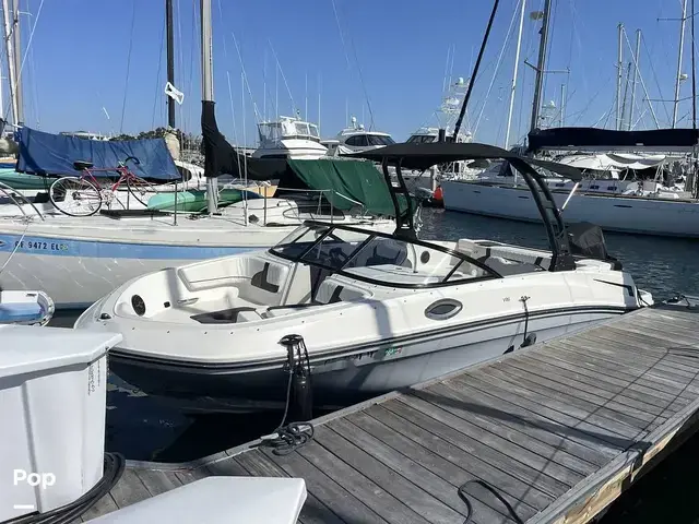 Bayliner Vr6