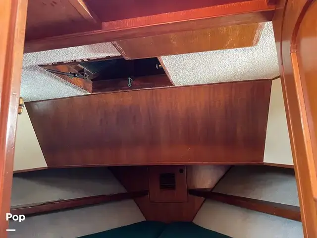 Trader 40 Double Cabin