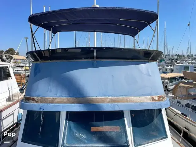 Trader 40 Double Cabin