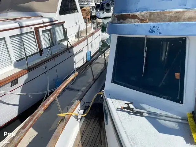 Trader 40 Double Cabin