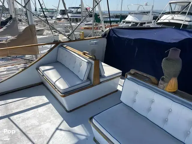 Trader 40 Double Cabin