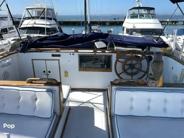 Trader 40 Double Cabin