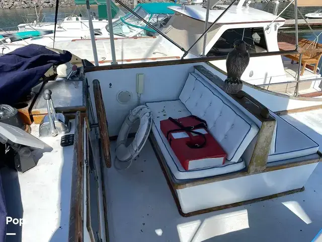 Trader 40 Double Cabin