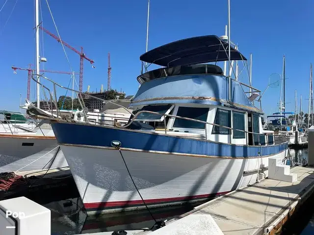 Trader 40 Double Cabin