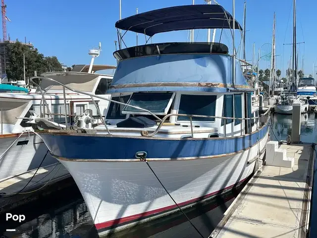 Trader 40 Double Cabin