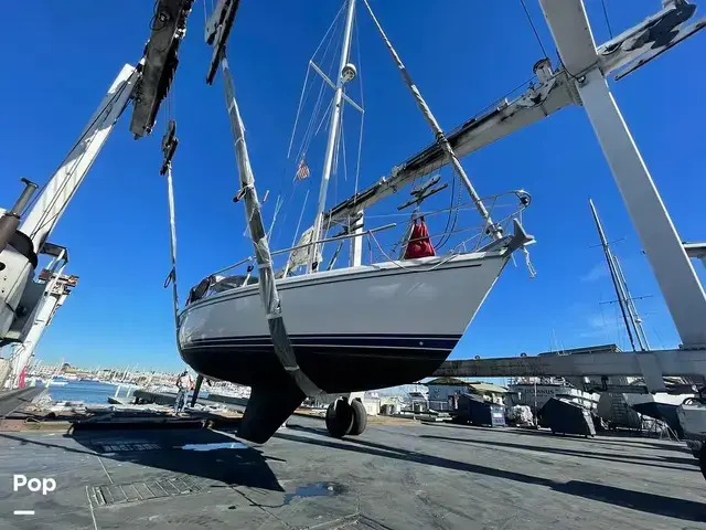 Catalina 34