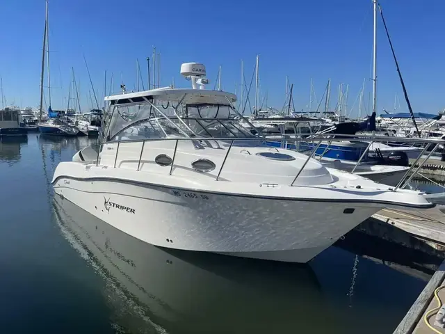 Seaswirl 2901 Walkaround