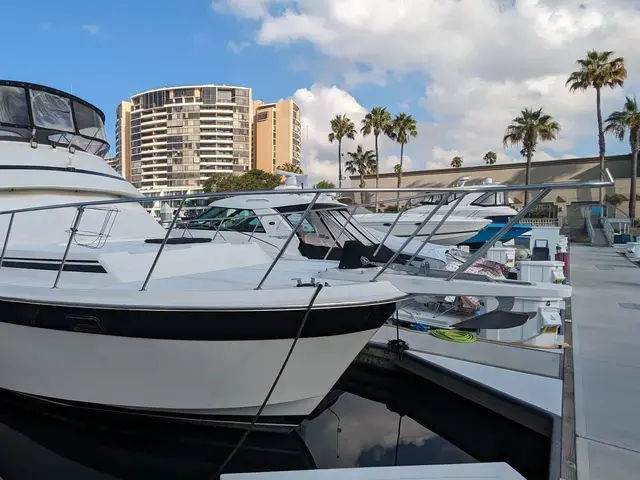 Camargue 42 Motoryacht