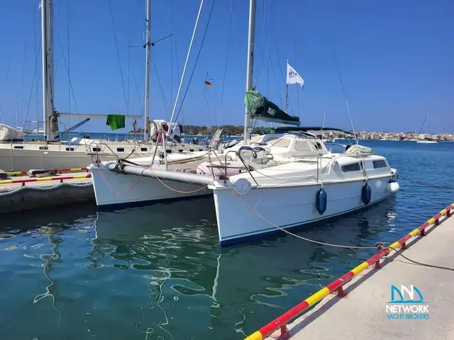 Edel 36