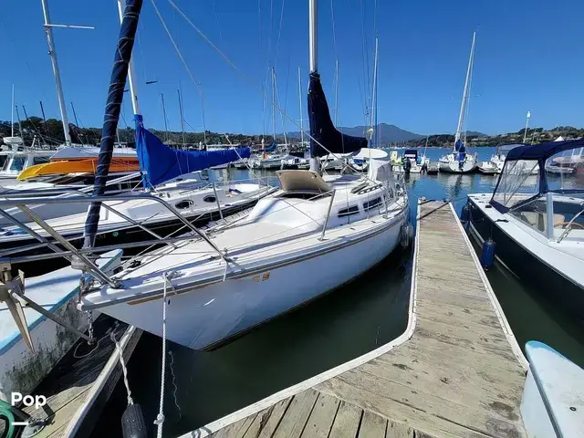 Catalina 27 Shoal