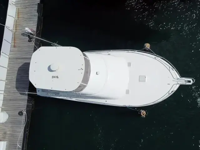 Luhrs 41 Convertible