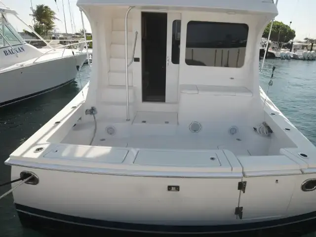 Luhrs 41 Convertible