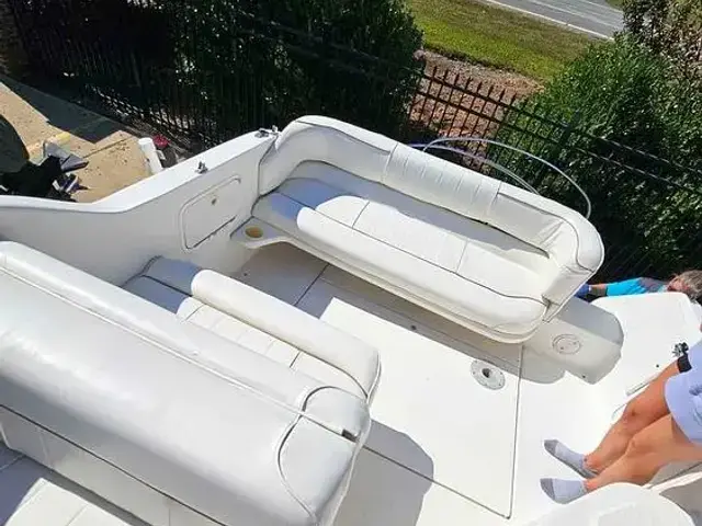 Sea Ray 250 Sundancer