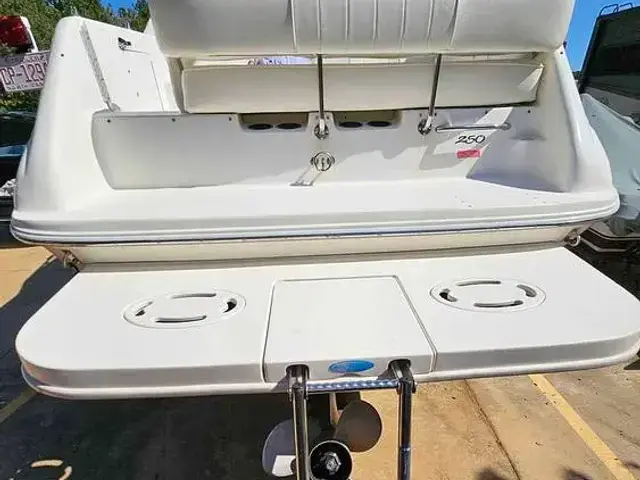 Sea Ray 250 Sundancer