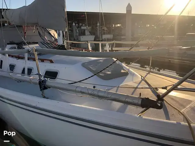 Catalina 34