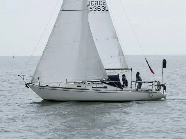 Holman & Pye Hustler 30