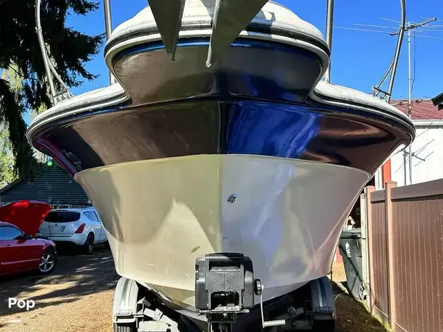 Sea Ray 250 Sundancer