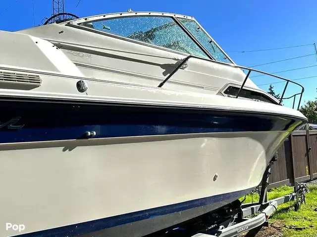 Sea Ray 250 Sundancer