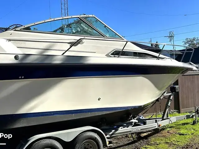 Sea Ray 250 Sundancer