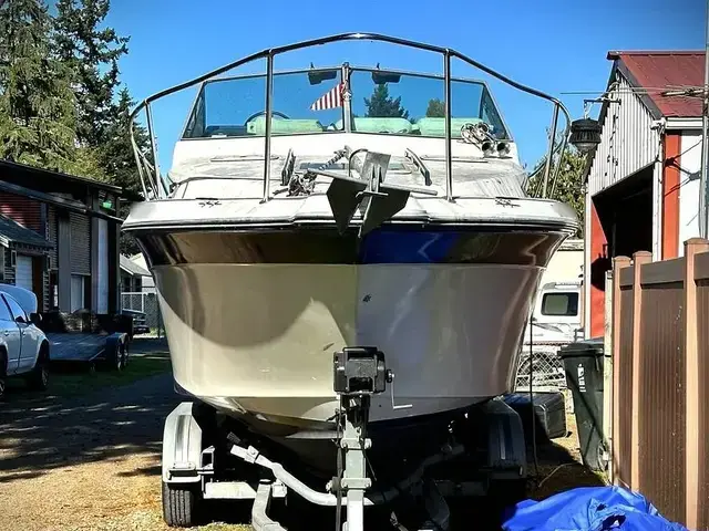 Sea Ray 250 Sundancer