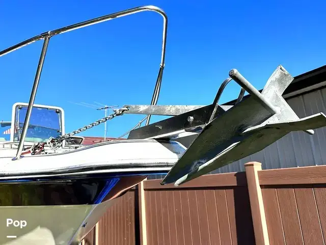 Sea Ray 250 Sundancer