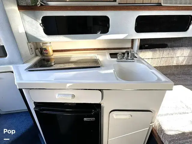 Sea Ray 250 Sundancer