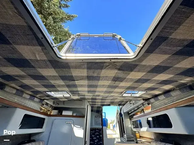 Sea Ray 250 Sundancer