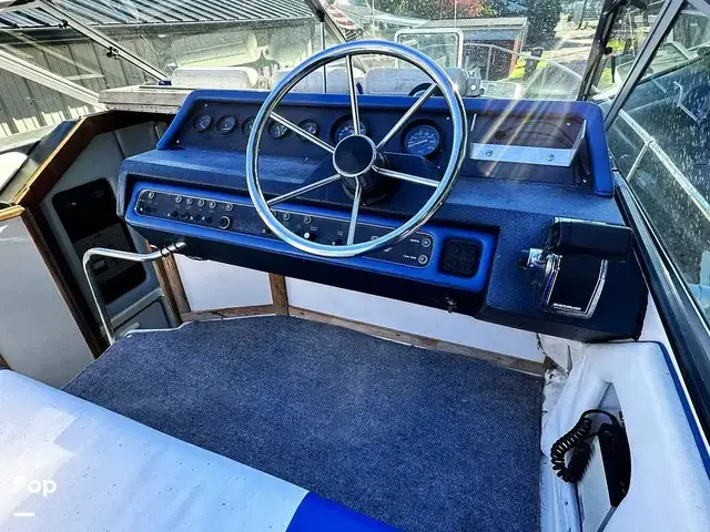 Sea Ray 250 Sundancer