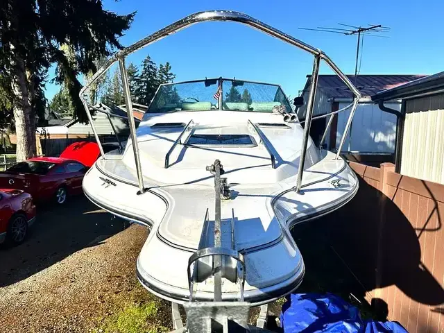 Sea Ray 250 Sundancer