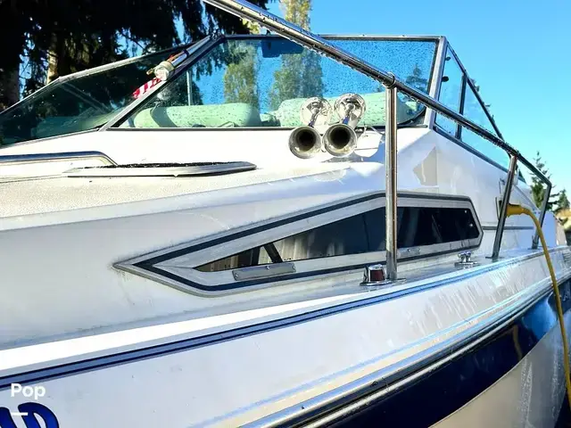 Sea Ray 250 Sundancer