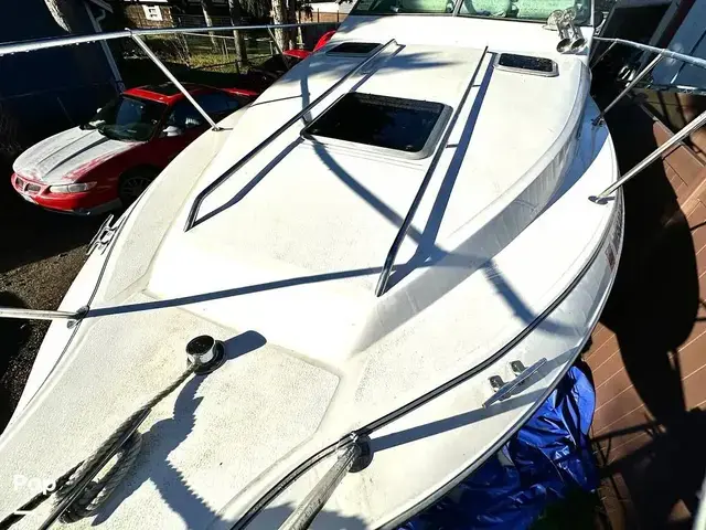 Sea Ray 250 Sundancer