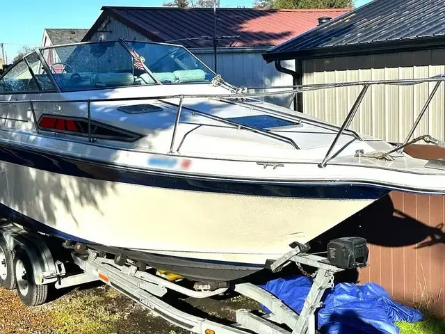 Sea Ray 250 Sundancer