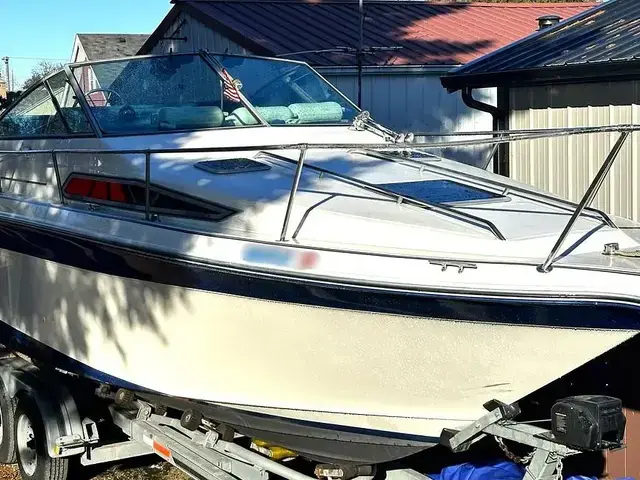 Sea Ray 250 Sundancer